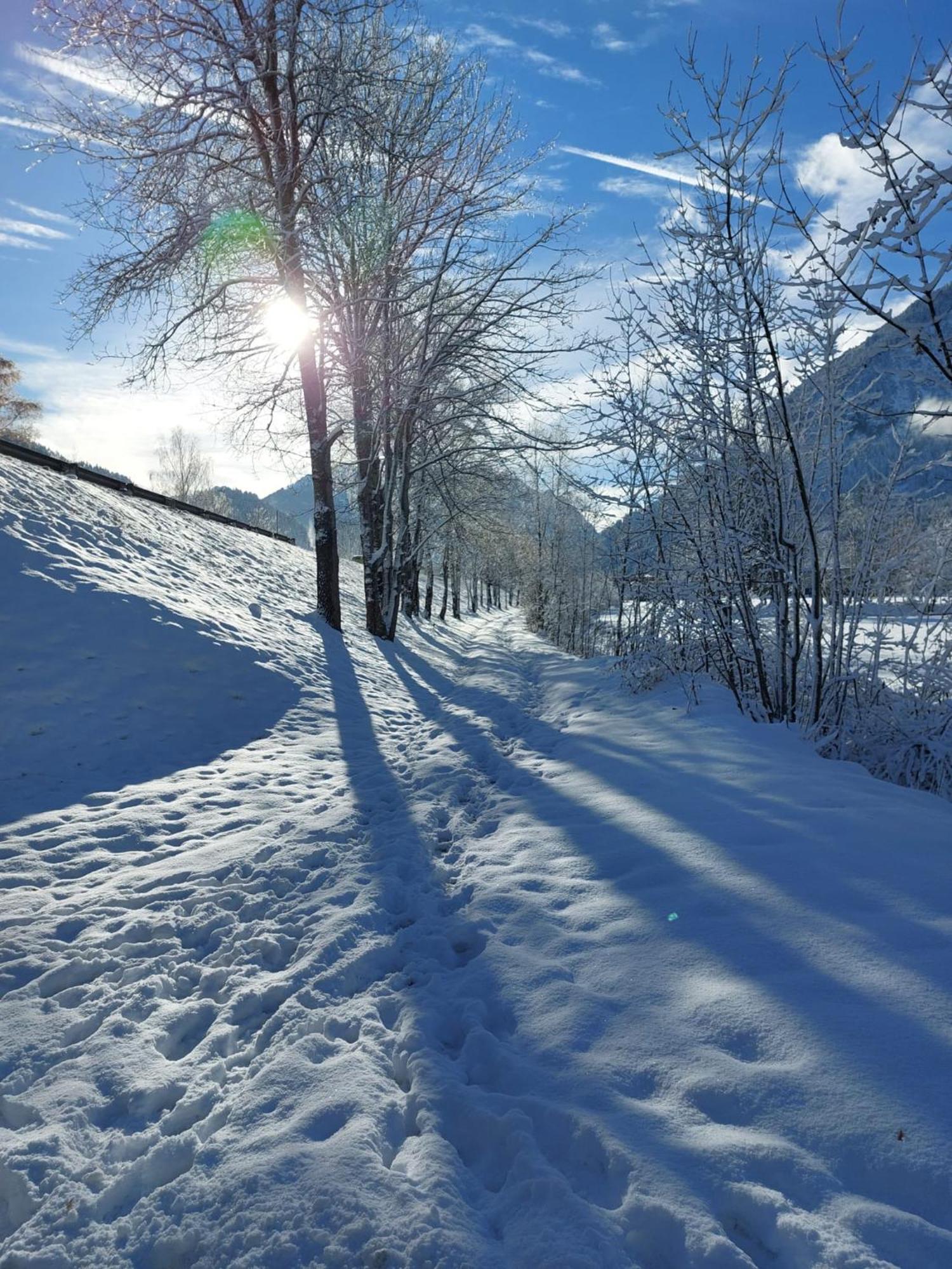 Alpapart Hornberg Höfen Εξωτερικό φωτογραφία